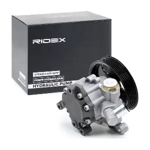 12H0133 RIDEX