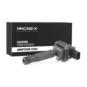689C0233 RIDEX