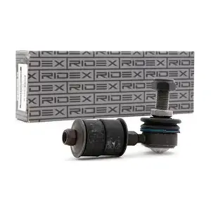 RIDEX 3229S0054