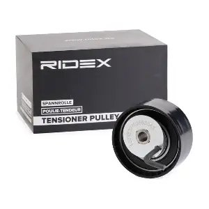 308T0095 RIDEX