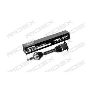 13D0070 RIDEX