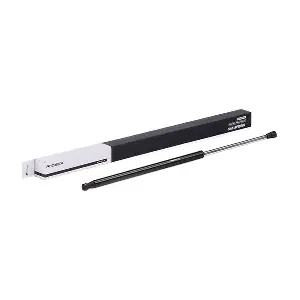 219G0221 RIDEX