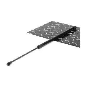 219G0009 RIDEX