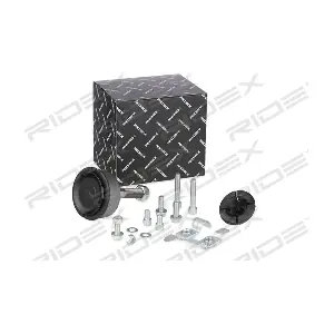 2523R0002 RIDEX
