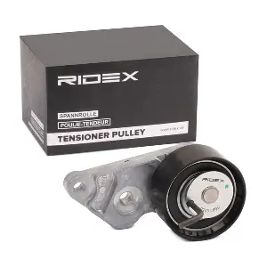 RIDEX 308T0050