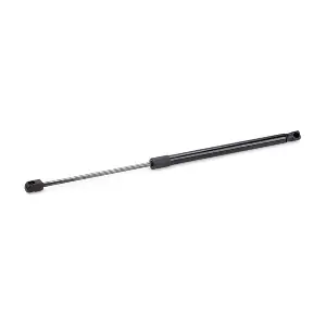 219G1017 RIDEX