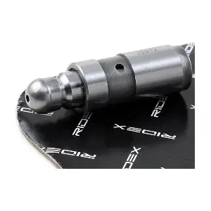 RIDEX 1216R0089
