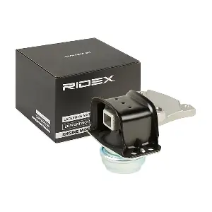 247E0195 RIDEX