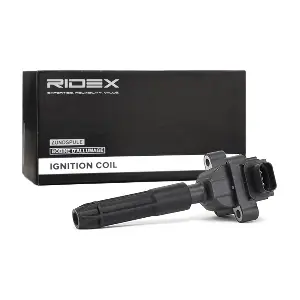 689C0227 RIDEX