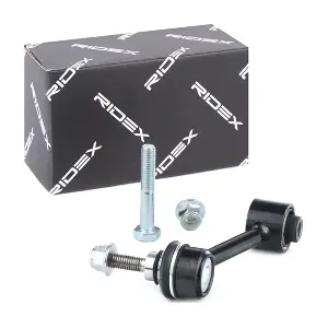 3229S0487 RIDEX