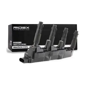 689C0225 RIDEX