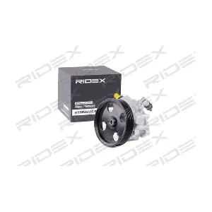 12H0079 RIDEX