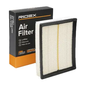 RIDEX 8A0189