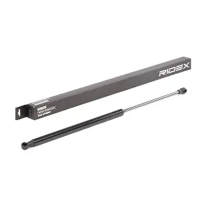 219G0858 RIDEX