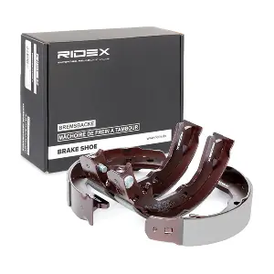RIDEX 70B0095