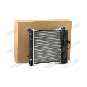 470R0025 RIDEX