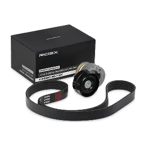 542R0029 RIDEX