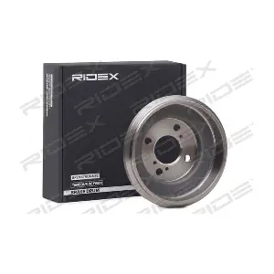123B0062 RIDEX