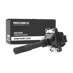 689C0146 RIDEX