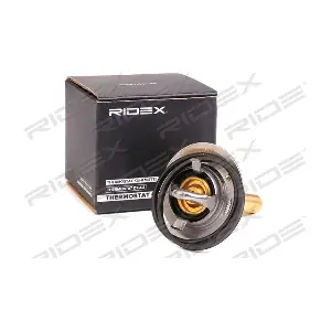 316T0066 RIDEX