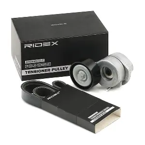 542R0329 RIDEX