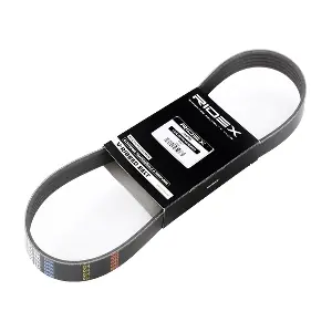 305P0027 RIDEX
