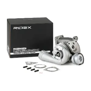 2234C0095 RIDEX