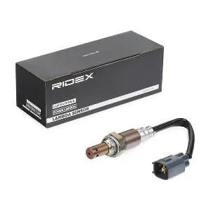 RIDEX 3922L0318