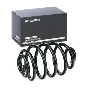 188C0120 RIDEX