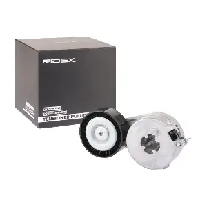 310T0310 RIDEX