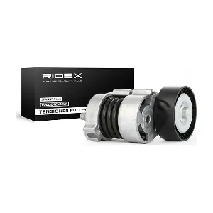 RIDEX 310T0019