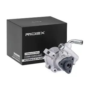 12H0302 RIDEX