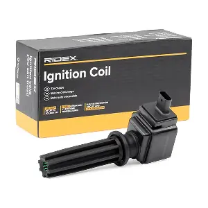 RIDEX 689C0419