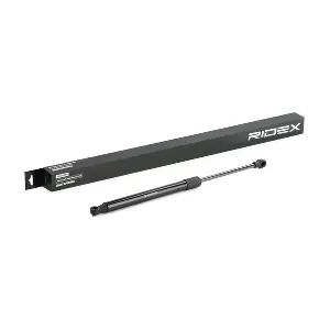 219G0730 RIDEX