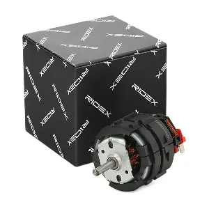 2669I0129 RIDEX