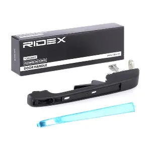 1373D0055 RIDEX
