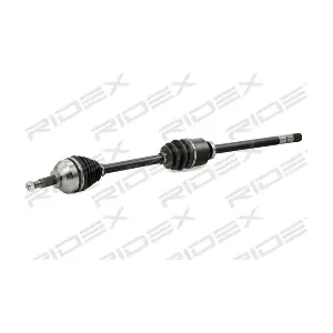13D0529 RIDEX