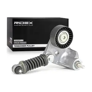 541V0028 RIDEX