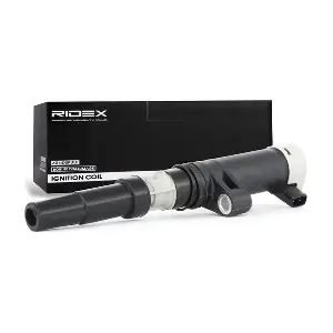 RIDEX 689C0002