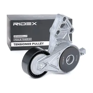 540T0009 RIDEX