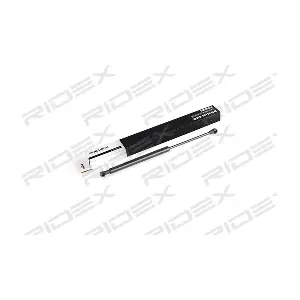 219G0383 RIDEX