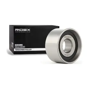 RIDEX 313D0047