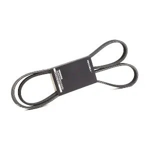 RIDEX 305P0222