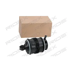 4119A0054 RIDEX