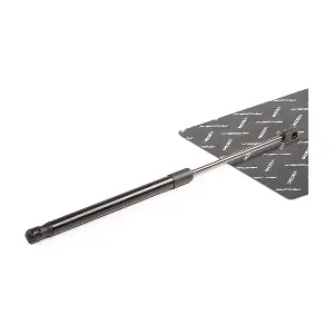 219G0020 RIDEX