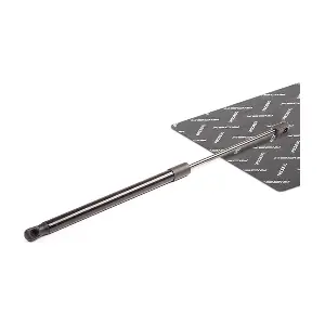 219G0096 RIDEX
