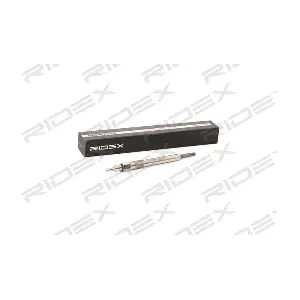 RIDEX 243G0046