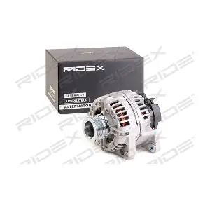RIDEX 4G0789