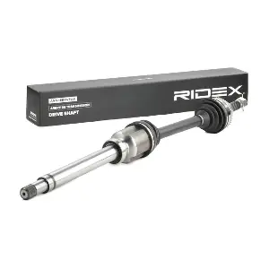 13D0420 RIDEX