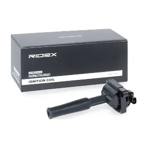 689C0288 RIDEX
